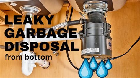 Garbage Disposal Leaking